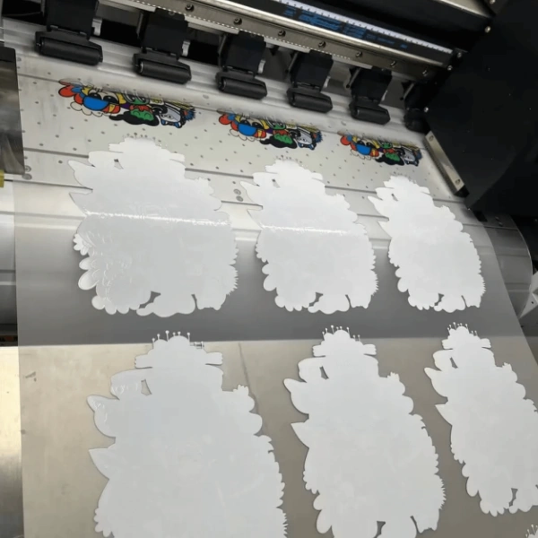 DTF Transfer Film on the DTF printer