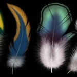 types of fabric printing