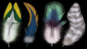 types of fabric printing